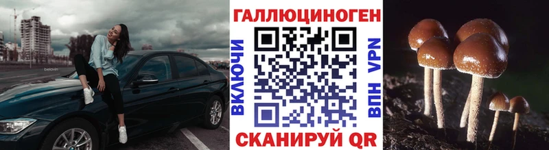 Галлюциногенные грибы Psilocybine cubensis  купить наркоту  Петров Вал 